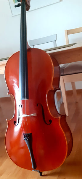 4/4 Cello italienisch kaufen gebraucht occasion musikbörse ricardo.ch