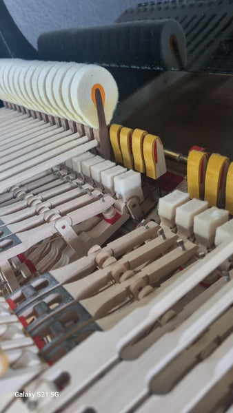 Steinway Konzertflügel Modell B (amerikanisch) kaufen gebraucht occasion musikbörse ricardo.ch