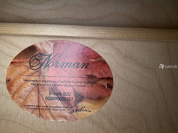 Westerngitarre Norman B20 kaufen gebraucht occasion musikbörse ricardo.ch