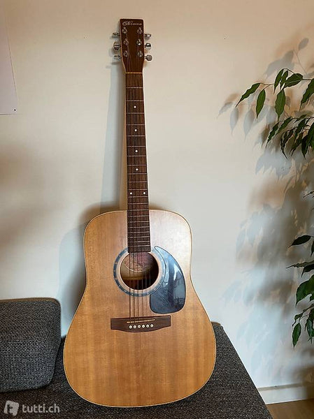 Westerngitarre Norman B20 kaufen gebraucht occasion musikbörse ricardo.ch