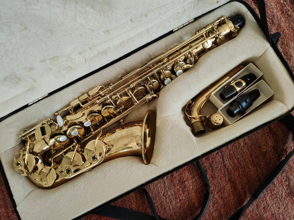 Alto Saxophon Selmer Super Action Série II kaufen gebraucht occasion musikbörse ricardo.ch