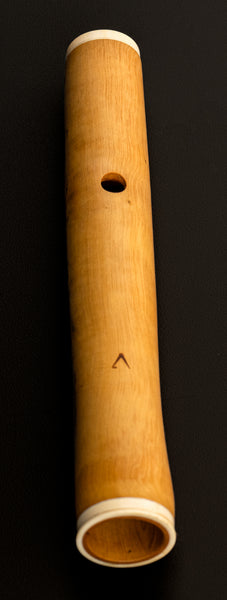 Traversflöte Alain J.W. Winkelmann kaufen gebraucht occasion musikbörse ricardo.ch