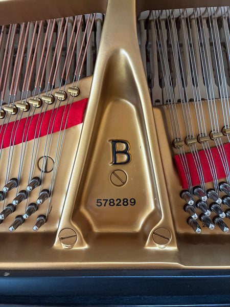 Flügel Steinway & Sons B-211 kaufen gebraucht occasion musikbörse ricardo.ch