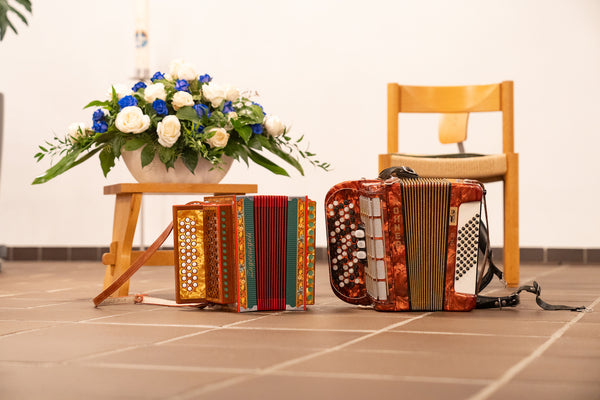 Akkordeonunterricht Zürich Akkordeonlehrer Zürich Aleksandar