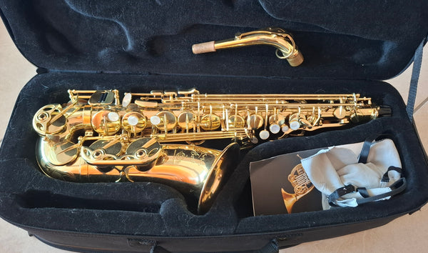 Es-Alt Saxophon Henri Selmer Paris Axos kaufen gebraucht occasion musikbörse ricardo.ch