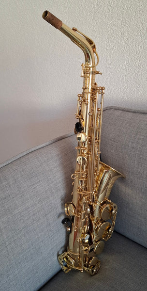 Es-Alt Saxophon Henri Selmer Paris Axos kaufen gebraucht occasion musikbörse ricardo.ch
