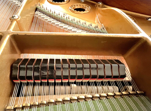 Flügel C. Bechstein Modell B-2O3 kaufen gebraucht occasion musikbörse ricardo.ch