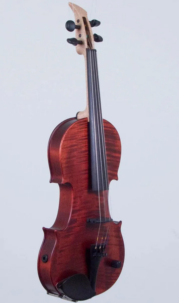 Elektrische Violine MSI Renaissance semi-hollow 4 string kaufen gebraucht occasion musikbörse ricardo.ch