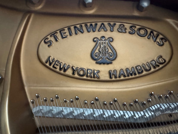 Flügel Steinway & Sons Modell B-211 kaufen gebraucht occasion musikbörse ricardo.ch