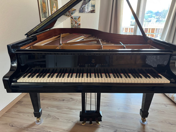 Flügel Steinway & Sons Modell B-211 kaufen gebraucht occasion musikbörse ricardo.ch