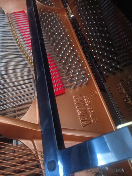 Flügel Yamaha GP-1 kaufen gebraucht occasion musikbörse ricardo.ch