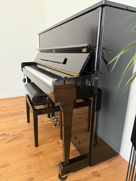 Klavier W. Hoffmann Vision V-112