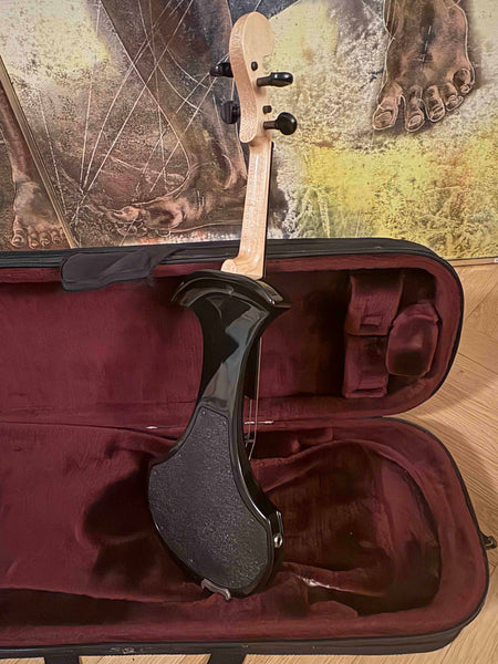 Elektrische Geige Zeta Strados kaufen gebraucht occasion musikbörse ricardo.ch