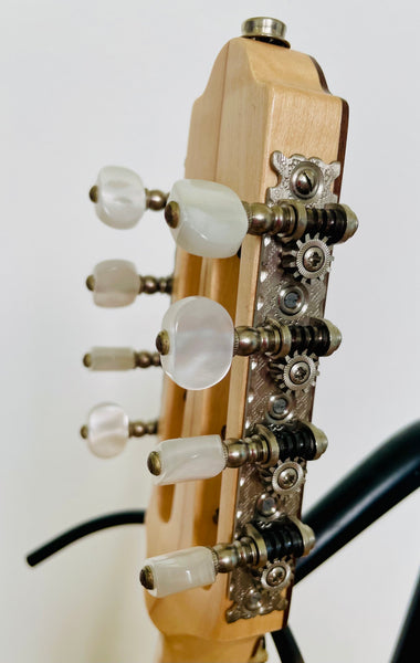 Mandoline Jon A. Piguet kaufen gebraucht occasion musikbörse ricardo.ch