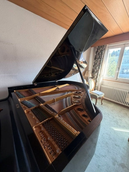 Flügel Bösendorfer kaufen gebraucht occasion musikbörse ricardo.ch