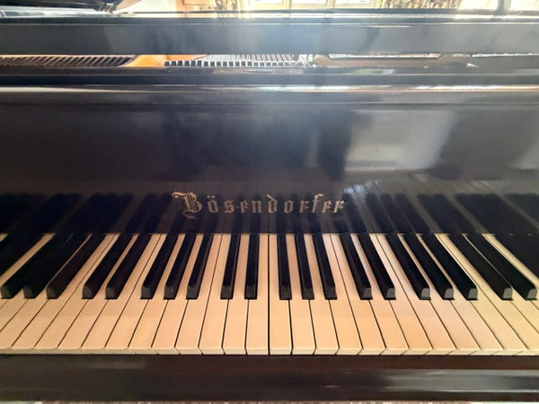 Flügel Bösendorfer kaufen gebraucht occasion musikbörse ricardo.ch