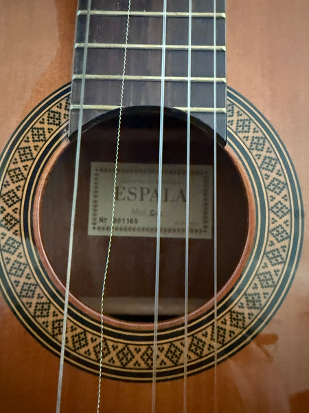 Gitarre Espala C-8 kaufen gebraucht occasion musikbörse ricardo.ch