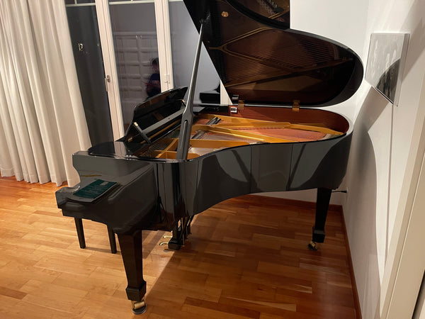 Flügel W. Hoffmann Modell Tradition 161 kaufen gebraucht occasion musikbörse ricardo.ch