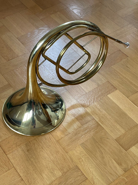 Naturhorn Jungwirth Raoux kaufen gebraucht occasion musibörse ricardo.ch