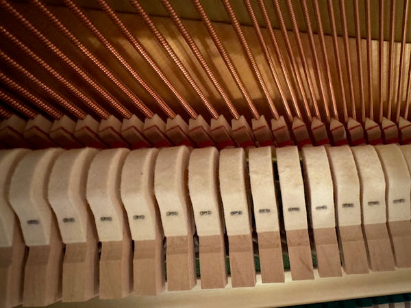 Silent-Klavier Yamaha kaufen gebraucht occasion musikbörse ricardo.ch