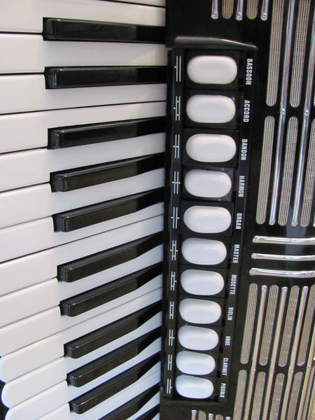 Tastenakkordeon Hohner Morino IV S Champion Cassotto kaufen gebraucht occasion musikbörse ricardo.ch