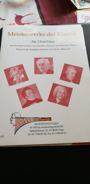 Panflöte Primul Alt-Stimme kaufen gebraucht occasion musikbörse ricardo.ch