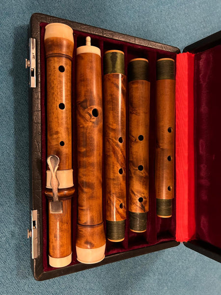 Traversflöte G.A. Rottenburgh kaufen gebraucht occasion musikbörse ricardo.ch