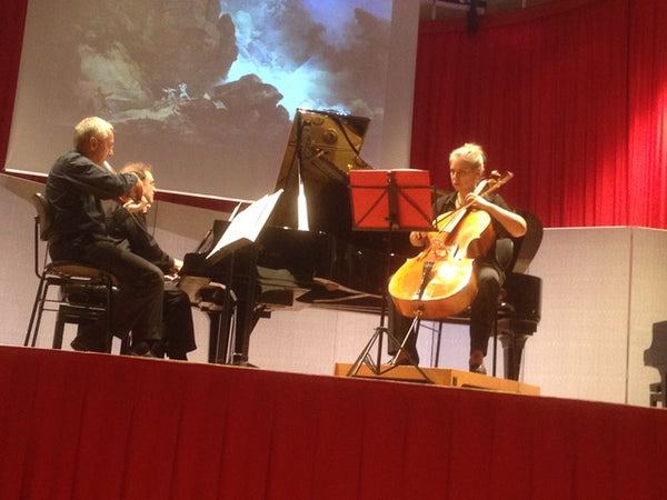 Cellounterricht Cellolehrerin Bern Eva Konzert