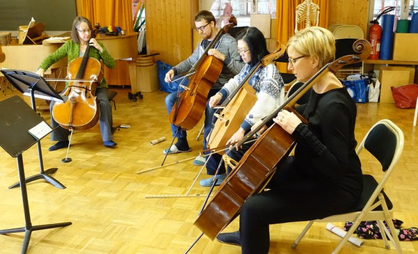 <div style='display:none;'>'</div>Sins AG / Online - Anette unterrichtet Violoncello