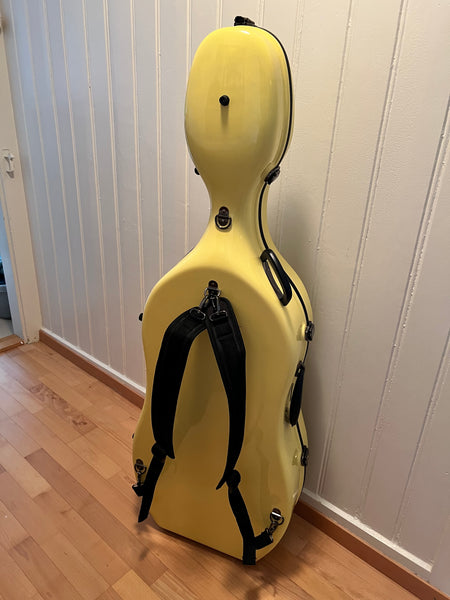 Violoncello aus deutscher Manufaktur kaufen Musikbörse Instrumentenverkauf