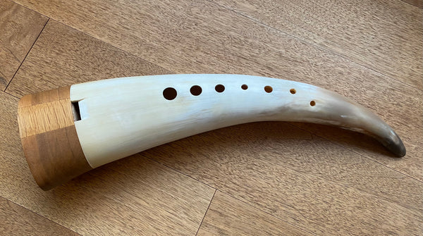 Gämshörner kaufen occasion gebraucht musikbörse ricardo.ch
