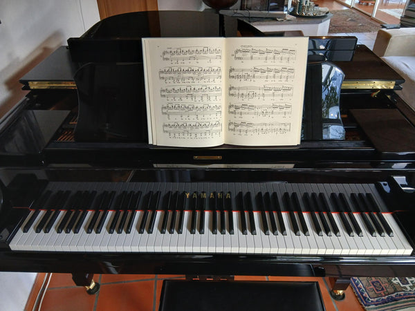 Flügel Yamaha Typ C3-168 kaufen gebraucht occasion musikbörse ricardo.ch