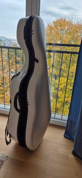 Violoncello Rainer Leonhardt kaufen gebraucht occasion musikbörse ricardo.ch