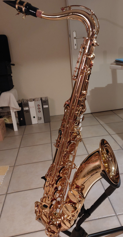 Tenorsax Yamaha YTS-480 kaufen gebraucht occasion musikbörse ricardo.ch
