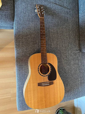 Westerngitarre Norman B20 kaufen gebraucht occasion musikbörse ricardo.ch