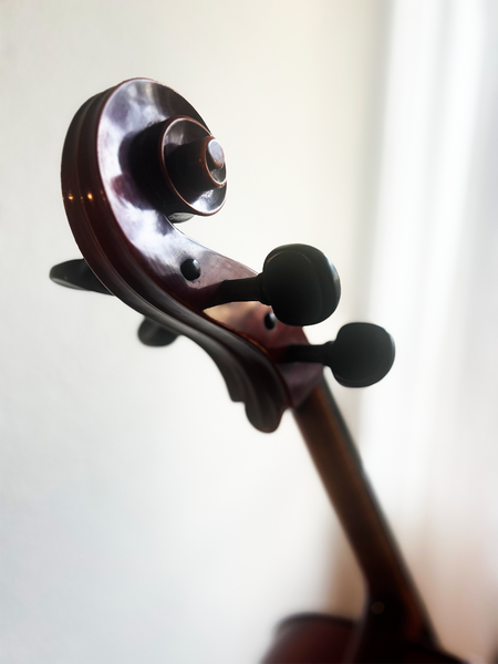 7/8 Violoncello Stöhr Illner Riedl kaufen gebraucht occasion musikbörse ricardo.ch