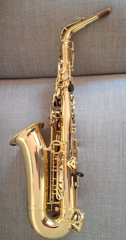 Es-Alt Saxophon Henri Selmer Paris Axos kaufen gebraucht occasion musikbörse ricardo.ch