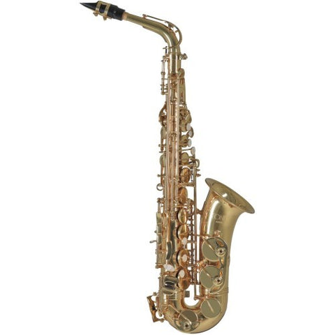 Altsaxophon C.G. Conn AS-650 kaufen gebraucht occasion musikbörse ricardo.ch