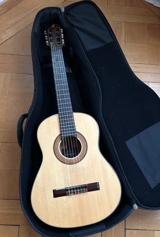 Gitarre Merida Extrema Trajan T5 kaufen gebraucht occasion musikbörse ricardo.ch
