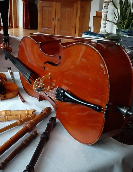 Cello Sandner 4/4 kaufen gebraucht occasion musikbörse ricardo.ch