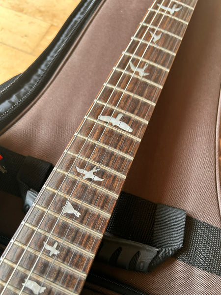 E-Gitarre PRS Paul Reed Smith SE CE 24