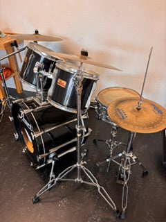 Schlagzeug Pearl Professional All Maple Shell kaufen gebraucht occasion musikbörse ricardo.ch