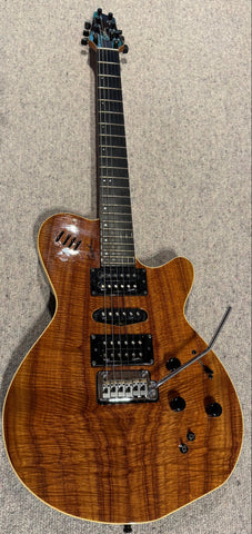 E-Gitarre Godin xtSA kaufen gebraucht occasion musikbörse ricardo.ch