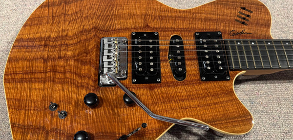 E-Gitarre Godin xtSA