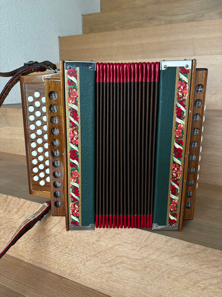 Ostschwyzerörgeli 3-chörig B/Es-System kaufen gebraucht occasion musikbörse ricardo.ch