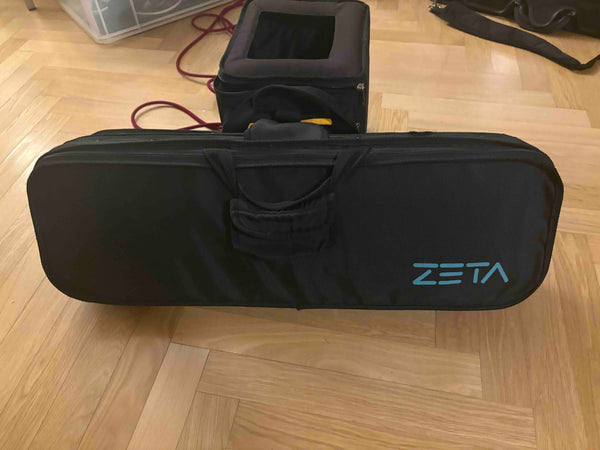 Elektrische Geige Zeta Strados kaufen gebraucht occasion musikbörse ricardo.ch