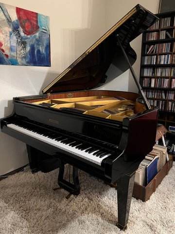 Flügel Pleyel kaufen gebraucht occasion musikbörse ricardo.ch