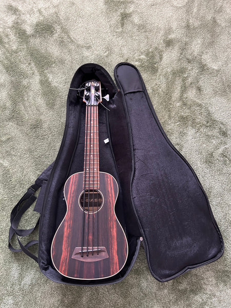 Ukulele E-Bass KALA UBass-EBY-FS kaufen gebraucht occasion musikbörse ricardo.ch