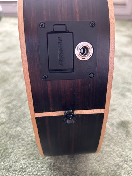 Ukulele E-Bass KALA UBass-EBY-FS kaufen gebraucht occasion musikbörse ricardo.ch