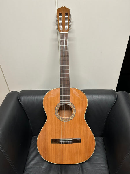 Gitarre Espala C-8 kaufen gebraucht occasion musikbörse ricardo.ch